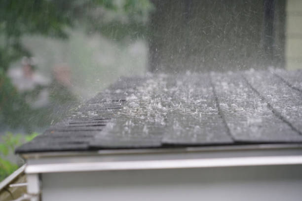 Best Storm Damage Roof Repair  in Trinity, NC