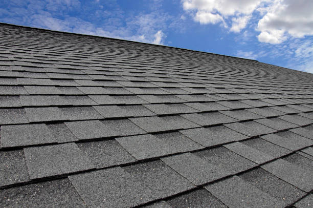 Best Slate Roofing  in Trinity, NC